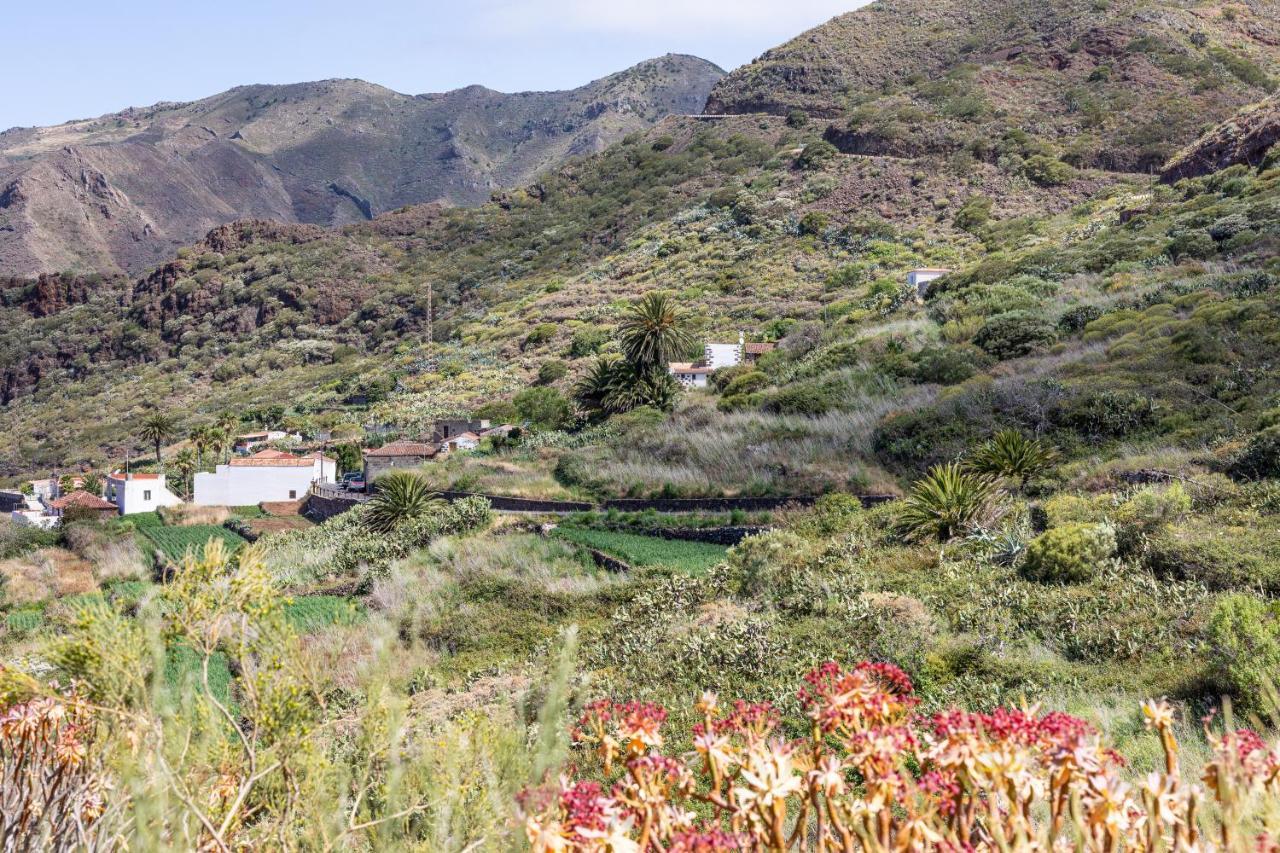 Home2Book Nature Carrizales And Masca House & Wifi Buenavista Del Norte Ngoại thất bức ảnh