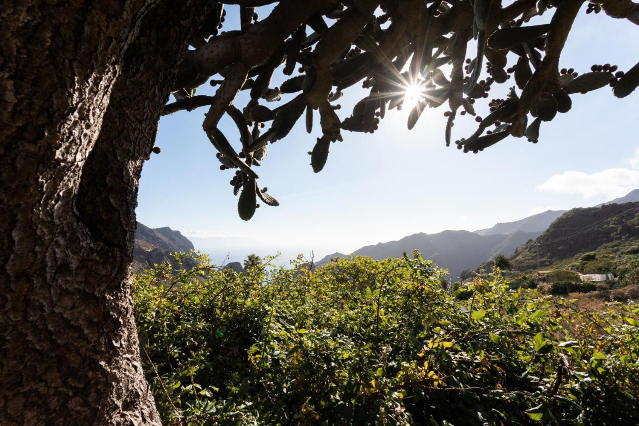 Home2Book Nature Carrizales And Masca House & Wifi Buenavista Del Norte Ngoại thất bức ảnh
